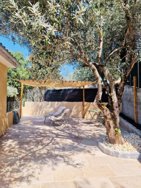 Appartement au coeur des oliviers