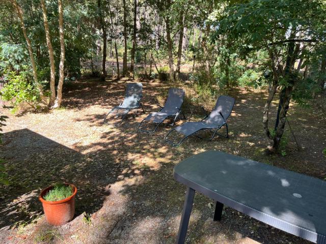 MobilHome 6 personnes, vue forêt