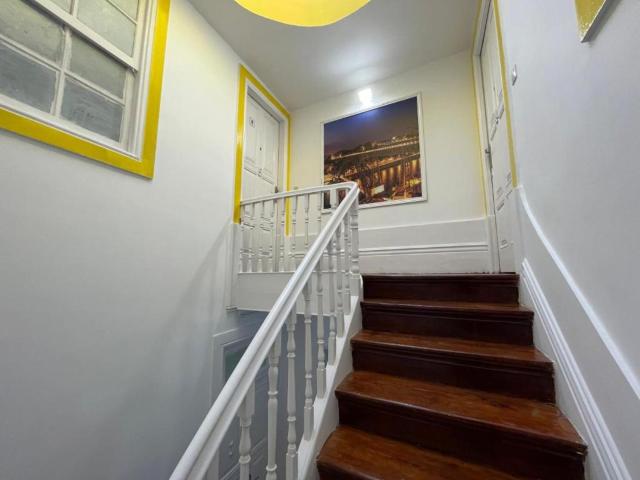 owls hostel