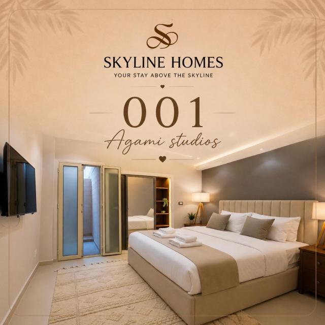 Skyline Homes-Agami Studios