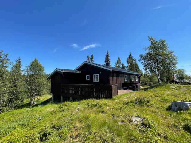 Breidablikk, Quiet Cabin Retreat Surrounded by Nature