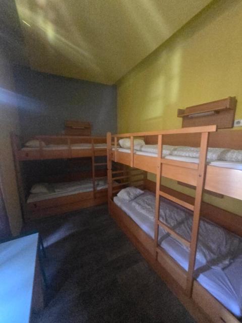 Treestyle Hostel