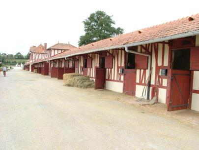 Tentes glamping insolite au cœur du haras