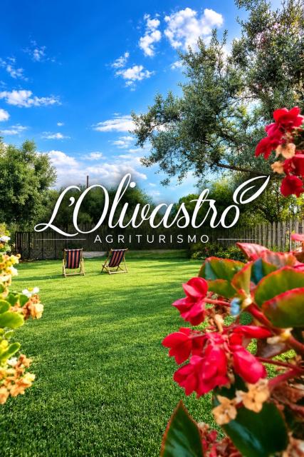 Agriturismo L'Olivastro