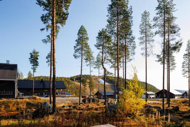 Boden Storklinten