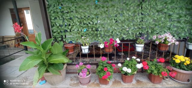 Gulzina Guest House