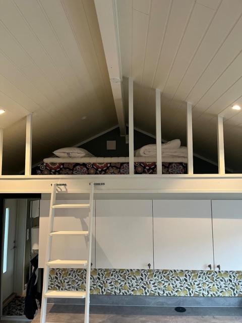 Minihus med sovehems og sovesofa