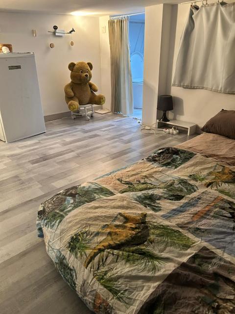 Petit CHAMBRE a BRUXELLES MIDI HAUTEUR