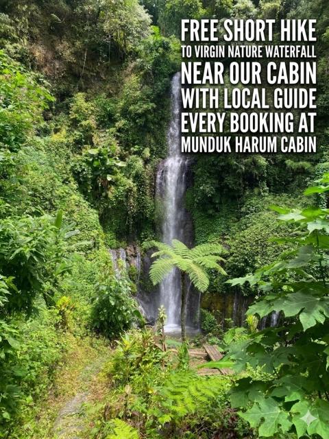 Munduk Harum Cabin
