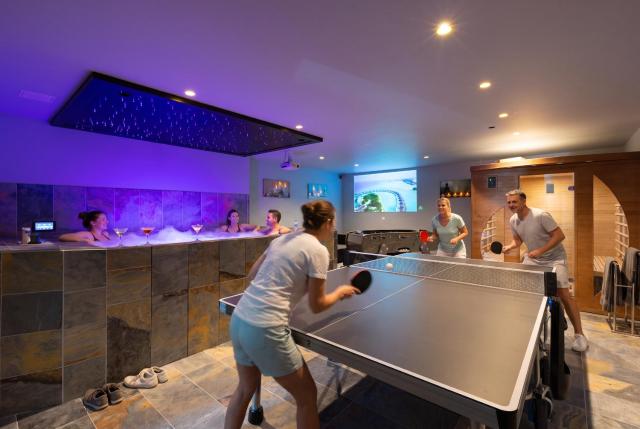 Villa Lion - SPA Privé, Climatisation, Sauna, Borne d'arcade, Babyfoot