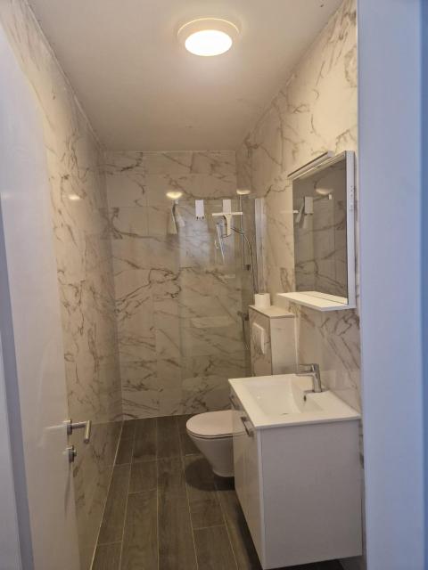 Vila Lidus