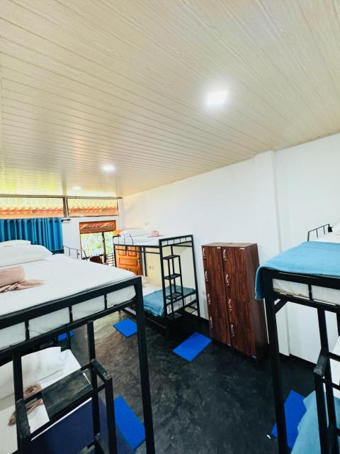 Glowhaven Hostel