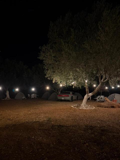 SeaGrove Camping
