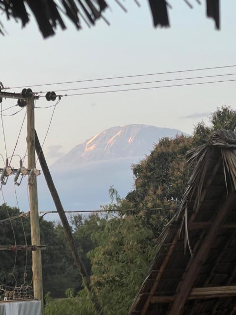 Moshi Lodge Hostel