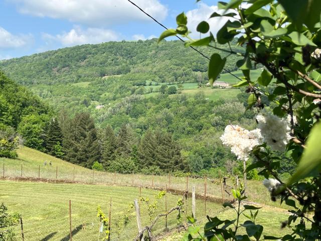 Le Caux