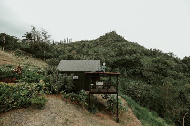 Grey Rock Mountain Cabin w/ Jacuzzi