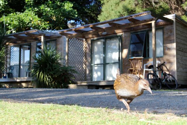 Russell-Orongo Bay Holiday Park
