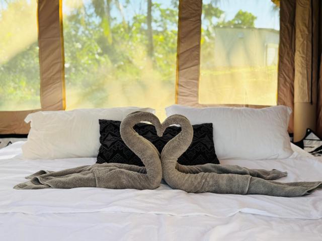 Luxary Tent
