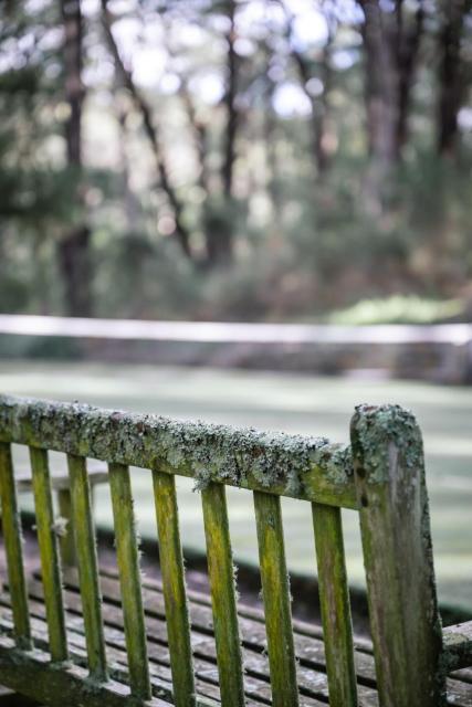 ecco red hill retreat- dog friendly-no added fees