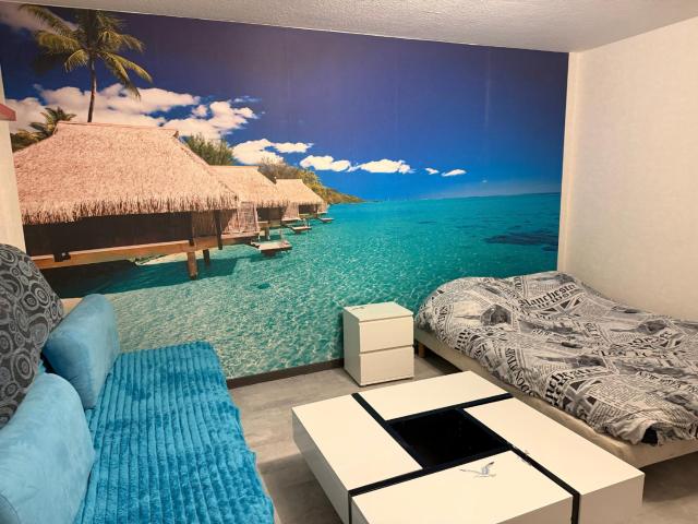 Ocean 300m Gare Centre ville Wifi Parking gratuit
