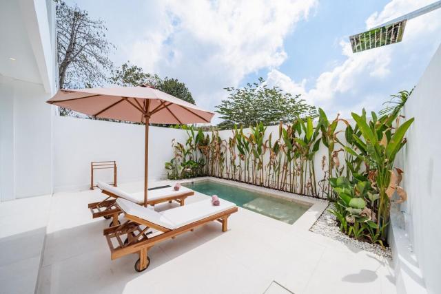 Sunlit Serenity Villa with Private Plunge Pool