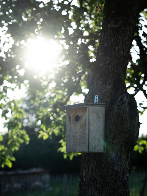 La Suite au Bois d'Ohey