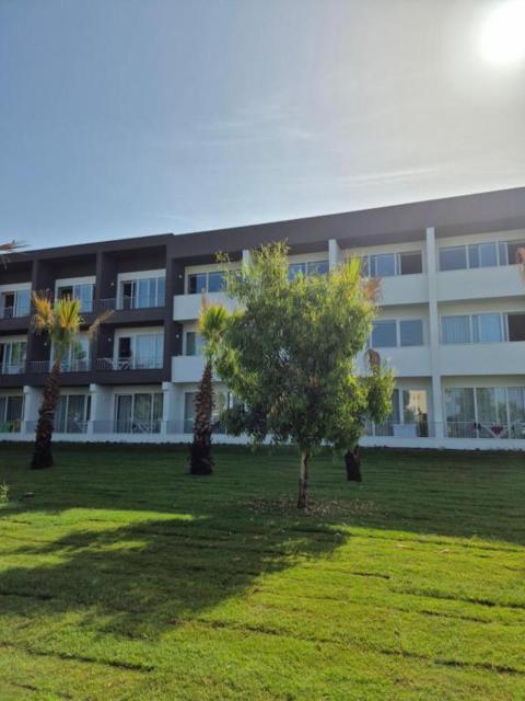 Hsdominicus