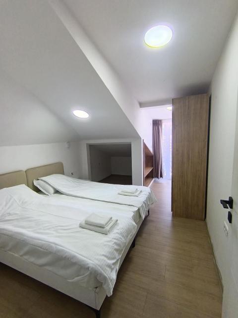 Travel Hub Hostel Central