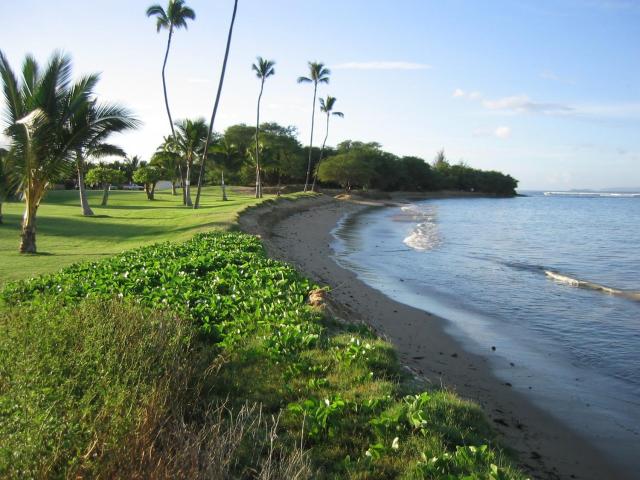 Maui Sunset