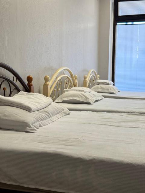 My Hostel Bishkek