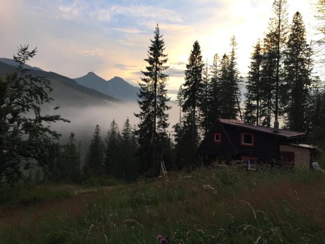 Childhood's Dream Cabin