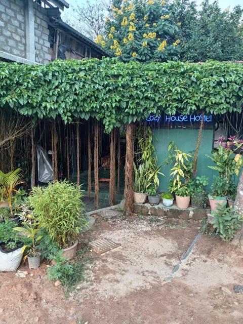 Cozy House Hostel