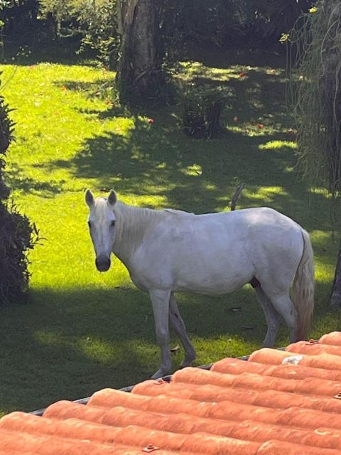 Sítio Mais Lindo do Mundo