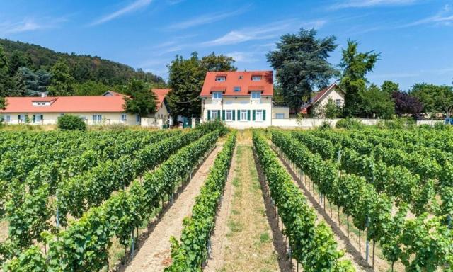 Hotel Annaberg