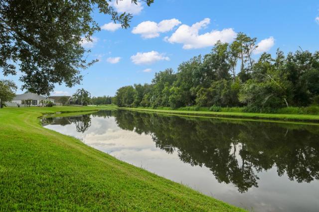 NEW! Land O' Lakes Lagoon - Gorgeous Home, Heated Pool, Lake View, Nature Trails