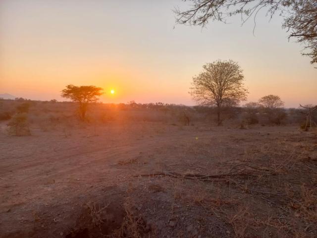 Lower Zambezi self catering safari tent