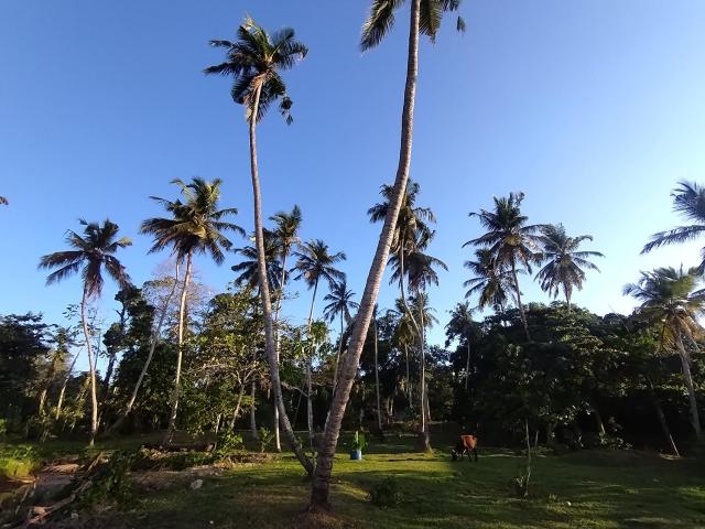 Jinna's Isle Hostel