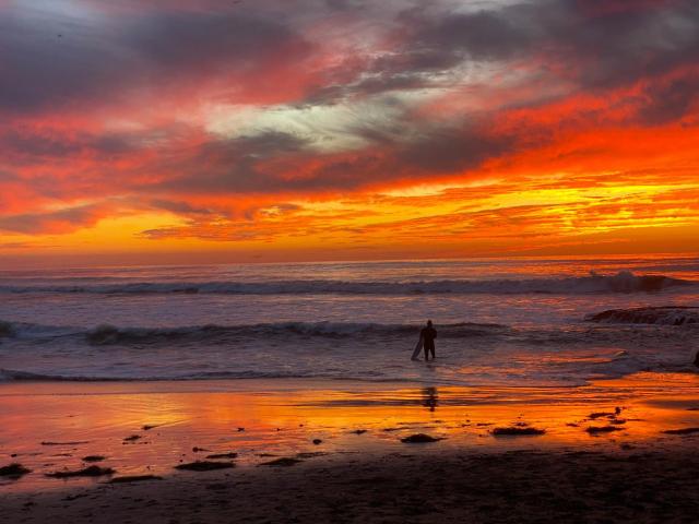 Modern Luxury 2BR Apt in Heart of Ocean Beach