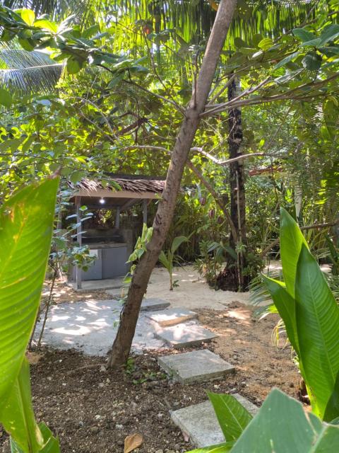 Siargao Residency - Generator & Starlink