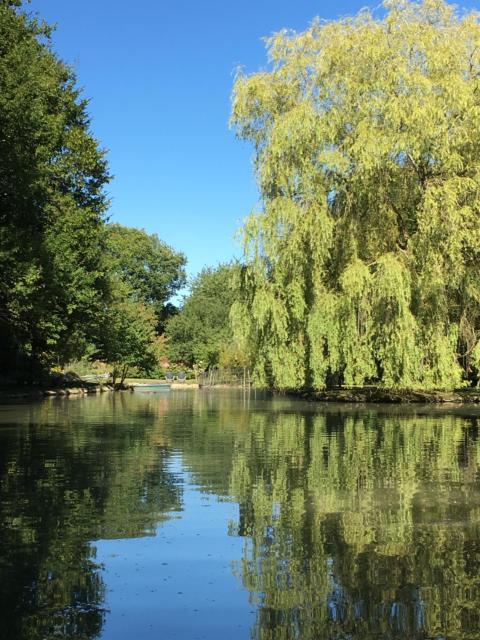 le petit clos