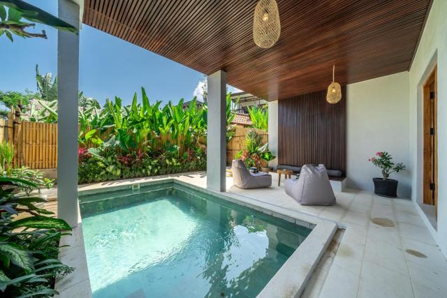 Entire Bougenville Garden Pool and Terrace Villa