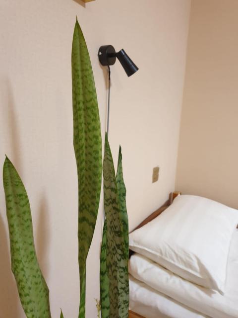 Bee Happy Hostel and Gobi amazing tour
