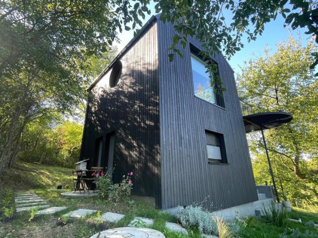 Enache's 217 - Private Design Cabin