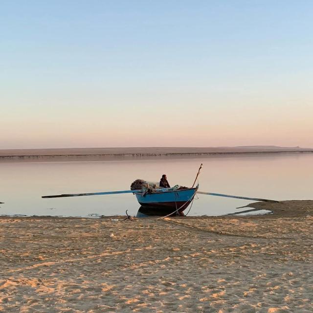 Fayoum Safari, Sandboarding & Camping