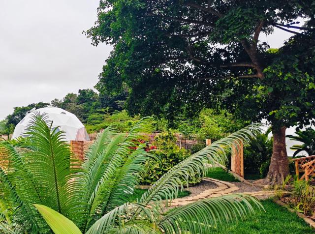 Nekoli Glamping - Riverside Domes with Mt Meru Views