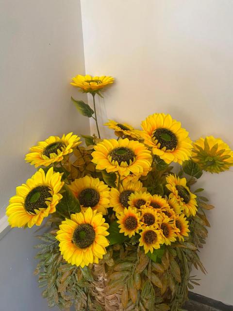Raggio di Sole