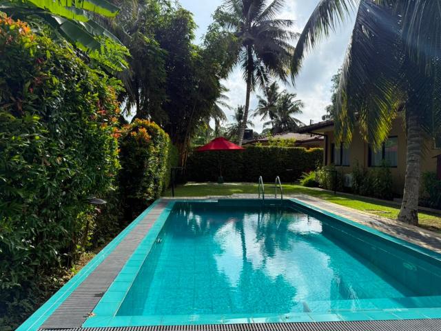 Don Cyril's Nature Bungalows