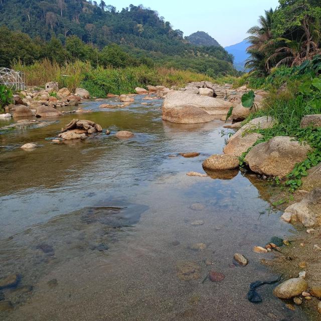 Baansuan Patooy Camping