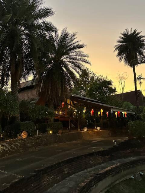 Dream den hostel