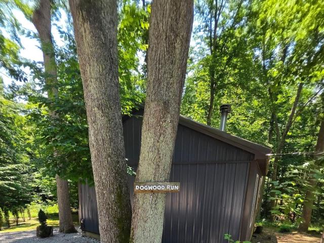 Dogwood Run at Avenwood Cabins